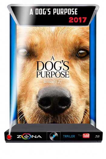 Película A dog's Pourpose 2017