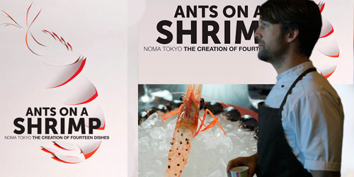 Ants on a Shrimp 2016