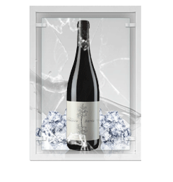 Barolo