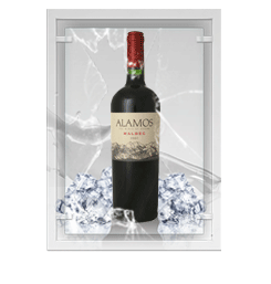 Alamos Malbec 2007