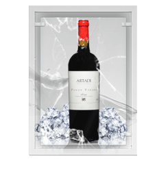 Artadi Pagos Viejos 2010 Crianza
