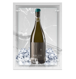 Bacán Reserva Sauvignon Blanc