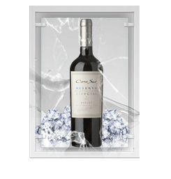 Reserva Especial Merlot Conosur