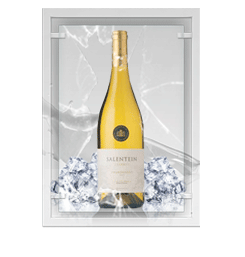 Salentein Reserve Chardonnay 2009