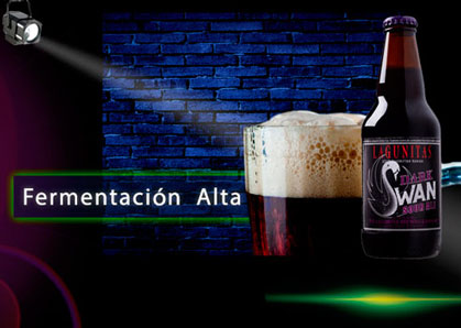 Cerveza Fermentación alta