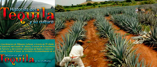  Historias del Tequila y su cultura buen documental