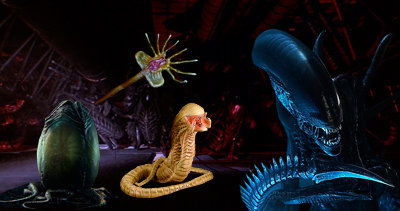 Fases de gestación de los xenomorfos