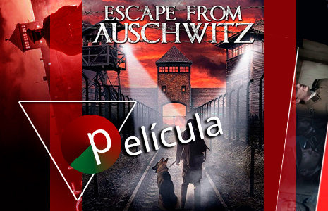 Película La liberación de Auschwitz