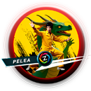 sobre películas de pelea