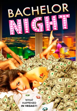 Película Bachelor Night 2014