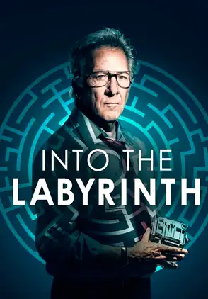 Película L'uomo del labirinto 2019