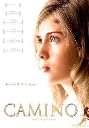 Película Camino 2008