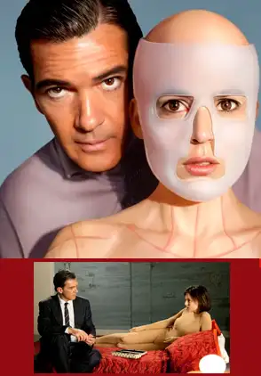 Película La piel que habito 2011