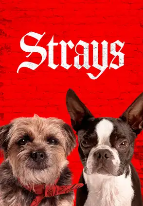 Película Strays 2023